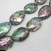 Beautiful 20-50mm Freeform Natural Big Abalone Shell Loose Beads