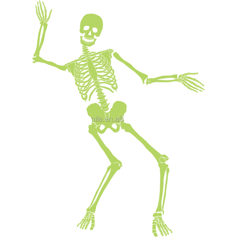ABQ9637 (1).png