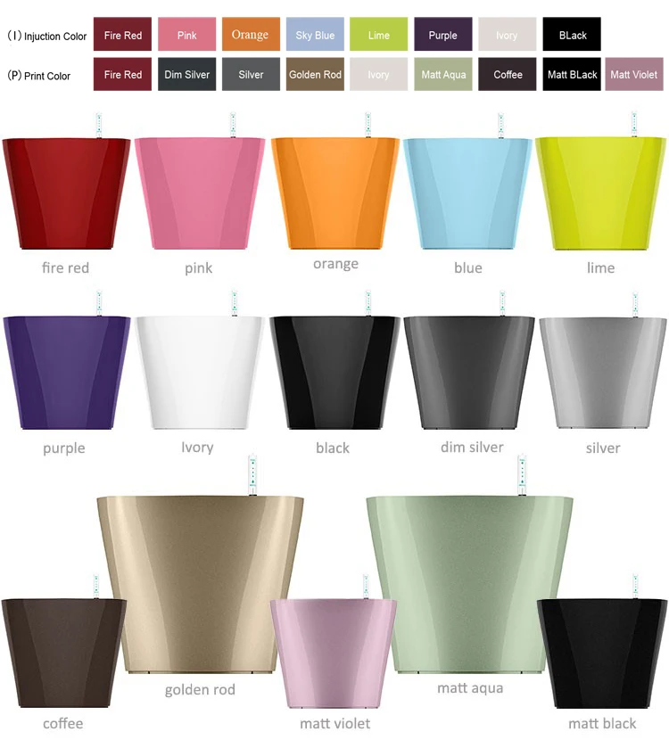 Color-2.jpg