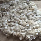 Waste cut silk cocoon for research Experiment 100% natural no any chemical