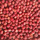 Wholesale Fruits IQF new fresh Frozen fresh Strawberry from China