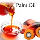 Automatic Oil Press High Quality Certified Palm Kernel Oil Press Mill Machine