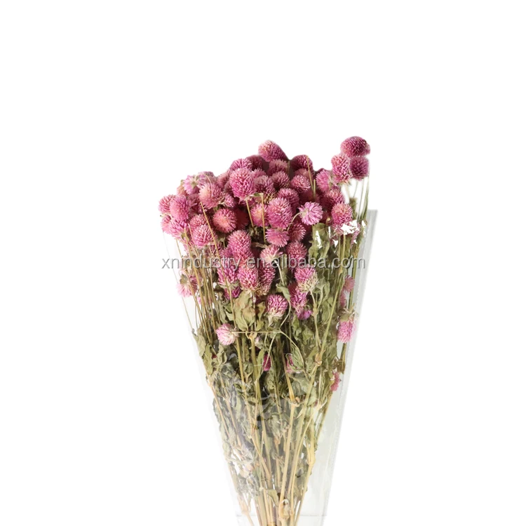 gifts & crafts  festive & party supplies  decorative flowers &
