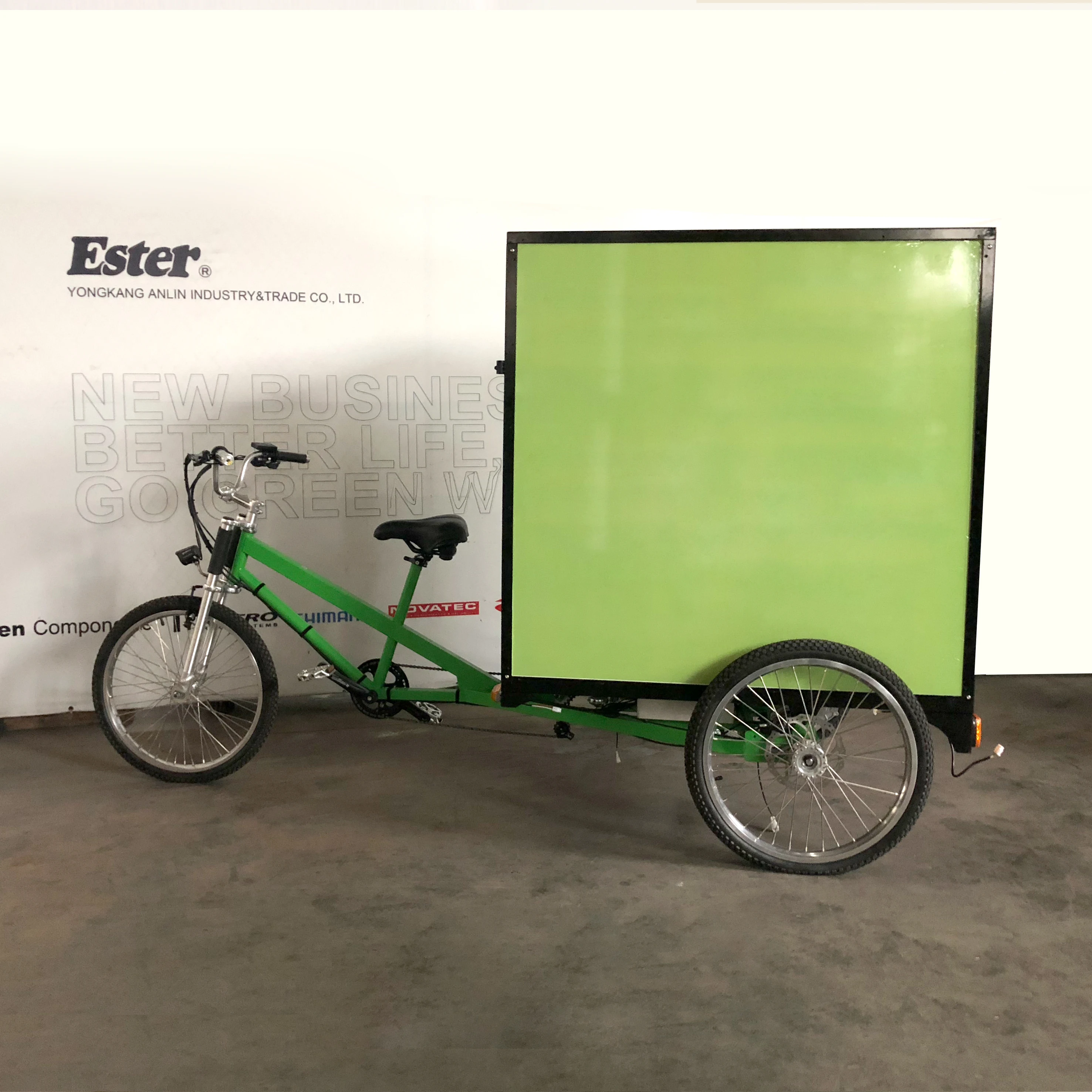 ESTER 500 W Elektrikli Kargo Trike Tektro Frenli, elektrikli yetişkin üç tekerlekli bisiklet 3 tekerlekli elektrikli kargo bisikleti