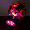 Full Spectrum LED Growth Lights 12W E27 PAR38 LED Grow Lamp Bulb for Flower Plant Hydroponics System