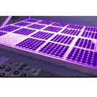 OEM Rigif Plastic Hydroponic Grow Trays Seed Tray Cultivation Tray