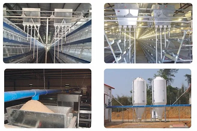 high quality design layer chicken cages for sale 10.jpg