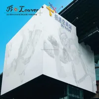 Architectural Aluminum Perforation Screen With Decorative