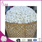 Factory wholesale natural dry double silk cocoon