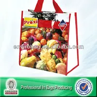100 Recycled Material Grocery Woven Polypropylene