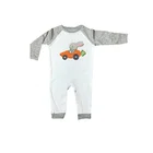 Wholesale Baby Boys Organic Clothing Rabbit Easter Cute Cotton Clothes Newborn Outfits Romper Boutique