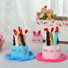 Nice Quality Pet Product Accessories Birthday Cake Shape Dog Hat