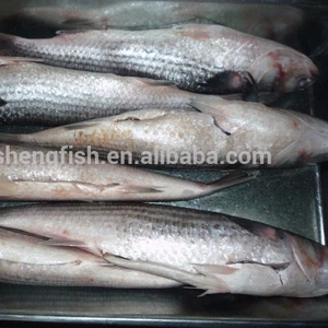 wholesale fish suppliers