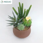 Popular Outdoor Faux Thailand Artificial Cactus Plants