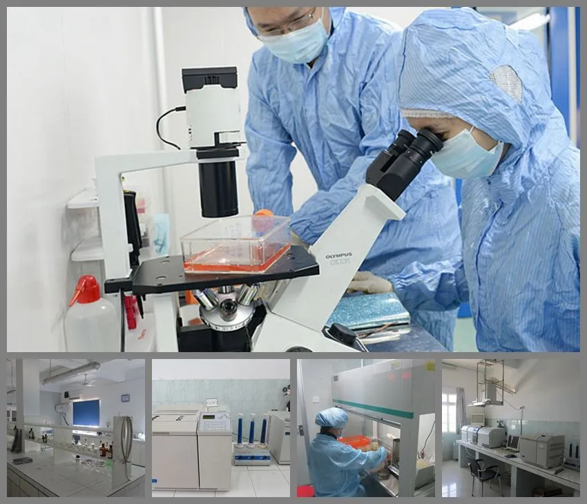 lab