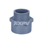 Professional China Factory PVC Pipe Fittings CPVC Male Threaded Socket Adapter Coupling