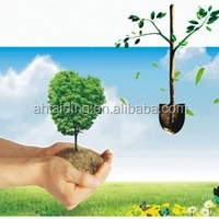 Sodium Polyacrylate Water Absorbing Polymers For