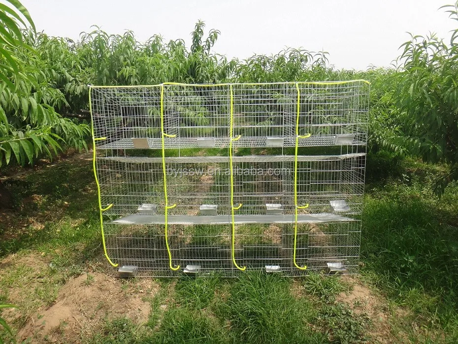 rabbit cage-2