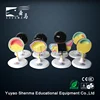 Animal model biological education research frog fetus development model
