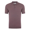 Burgundy Short Sleeve Muscle Fit Knitted Polo