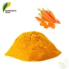 /product-detail/carrot-extract-fiber-concentrate-juice-10-powder-natural-beta-carotene-60724091121.html