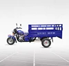 Tuk Tuk 3 Wheel Motorcycle / Dump Tricycle / Adult Trike For Cargo