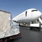 China Professional Agents Freight Forwarding Door To Door Shipment Service To Japan