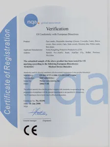 CE certificate OF SHOE COVER.jpg