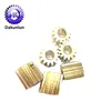 Customized T14 Small Brass Spur Gear Pinion