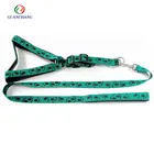 Hot New Dog Pet Accessories Products Nylon Dog Lead Collars and Leashes for Outdoor Activities