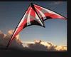 Custom advertising logo stunt kite