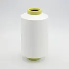 high quality wholesale silk yarn 70D / 48F white nylon dty yarn