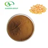 /product-detail/haccp-new-product-food-grade-free-sample-mastic-gum-extract-831408951.html