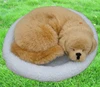 /product-detail/realistic-customized-soft-life-size-stuffed-lovely-animated-breathing-toy-dog-60313792665.html