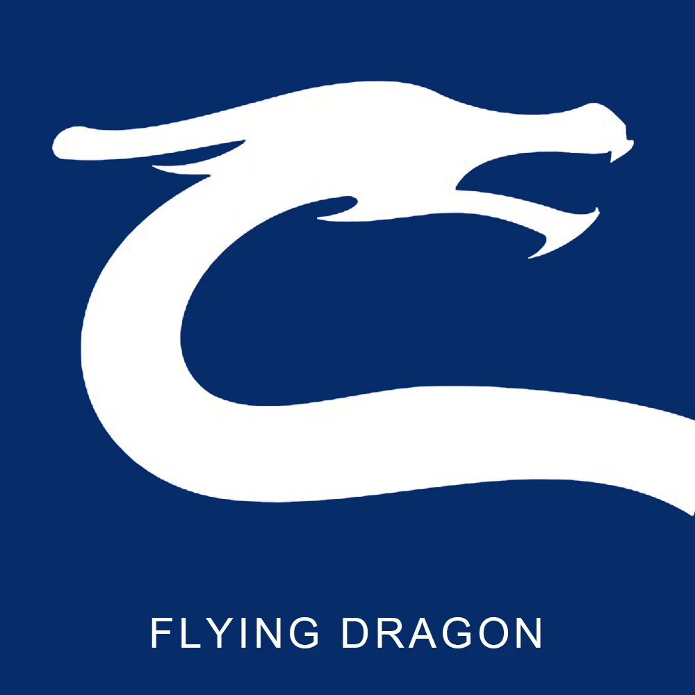 cn                                         taizhou flying dragon