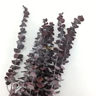 Decorative Flowers Wreaths Flower Preserved Leaves Table Flower Artificial Eucalyptus Leaves
