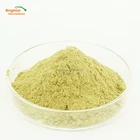 Moringa Oleifera Leaf Extract With Competitive Price With Best Quality