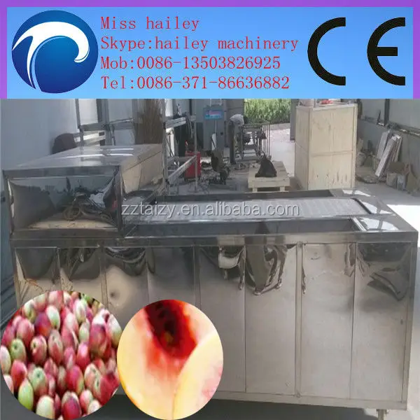 large stock apricot pitting machine/peach pit remover machine