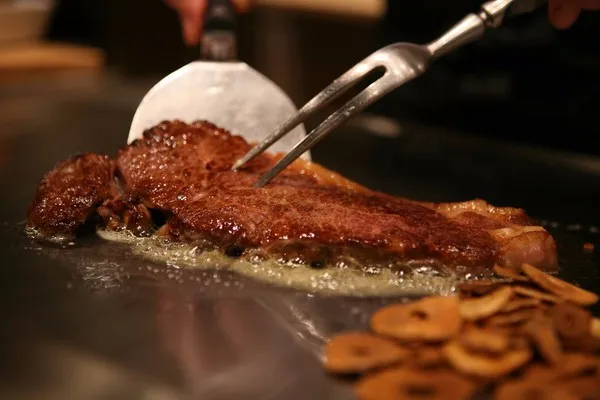 stainless steel electric griddle grill