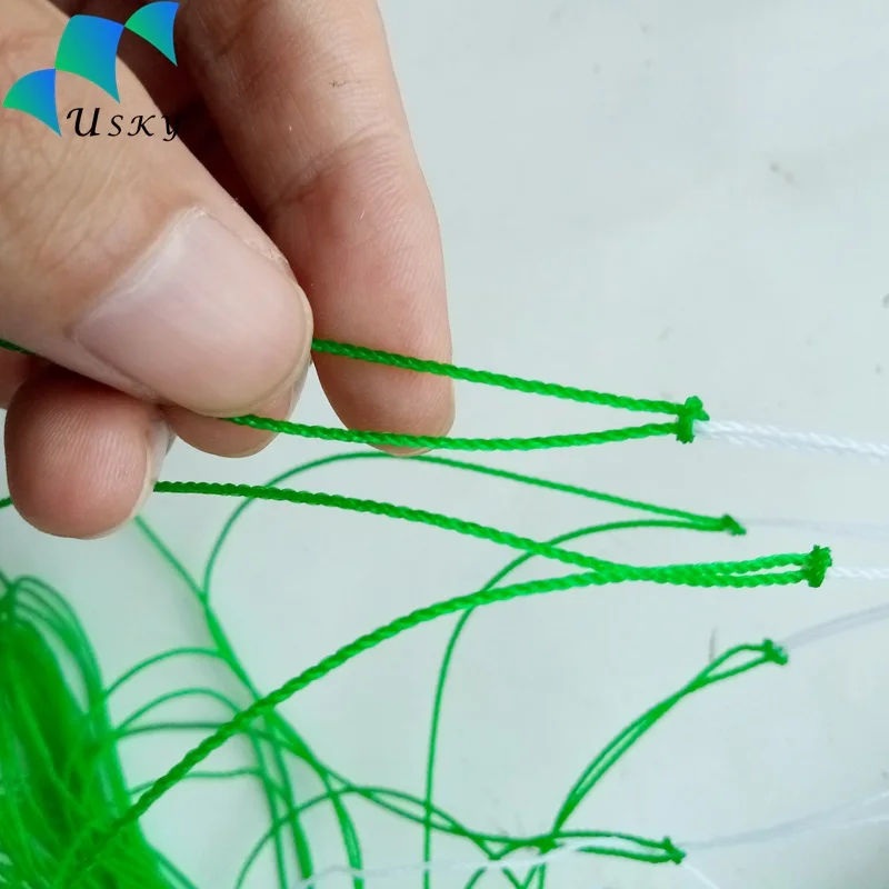 Fotos spanish, Montones de galerías de fotos en Alibaba.com, imagen spanish