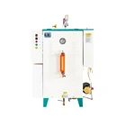 36Kw Electric Steam Boiler For Coffee Machine Prices Industrial