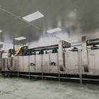 DW Wood chips/ wood pellet/wood sawdust mesh belt dryer