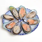 In Shell Mussel HACCP Certificate Seafood Shellfish Frozen Half Shell Mussel