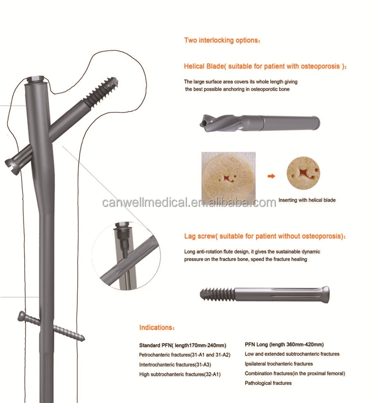 China - Natural Groove China - Natural Groove