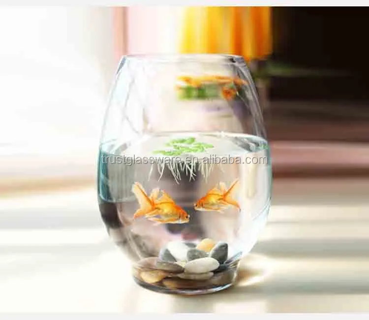 glass fish bowl