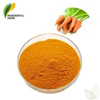 Bulk beta carotene antioxidant extract freeze dried carrot concentrate powder