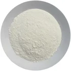 Dehydrated Garlic Powder (Free Sample)