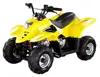 50cc / 70cc / 90cc /110cc Automatic mini ATV for sale (TKA50-D)