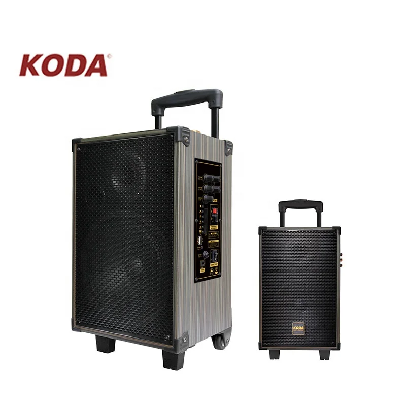 Mini portable disco movable sound box big battery active trolley bluetooth speakers with Mic - ANKUX.COM