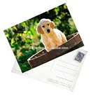 Custom Promotional 3D Lenticular Postcard